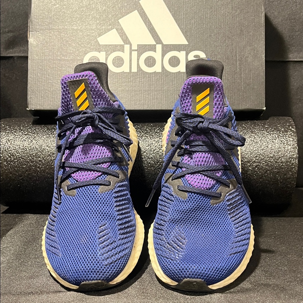 Adidas Blue and Purple Running Shoes
